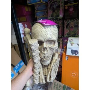 Home Accents Assorted Bones